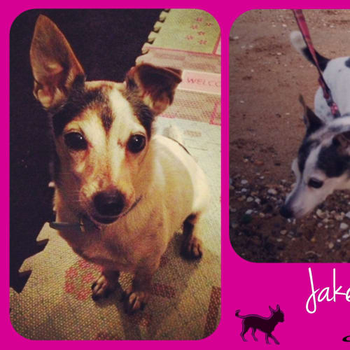 No photo for Jake