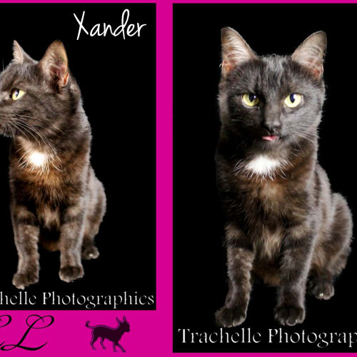 No photo for Xander