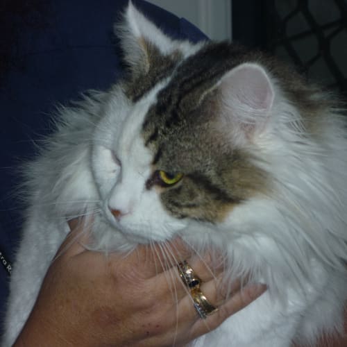 No photo for Jasper