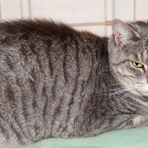 No photo for Martha Id15542