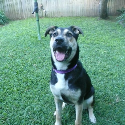 No photo for Kelly **A Loving Girl**