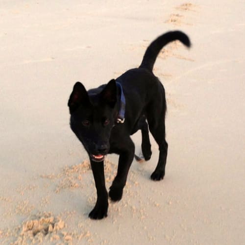 No photo for Cooper (New South Wales)