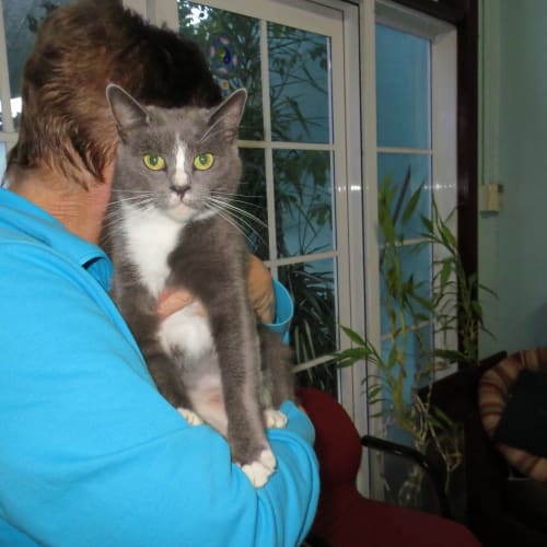 No photo for Ruba (Urgent Home Or Foster Carer Needed)