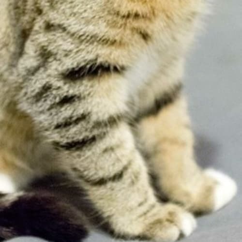 No photo for Henry * On Trial With My New Family*