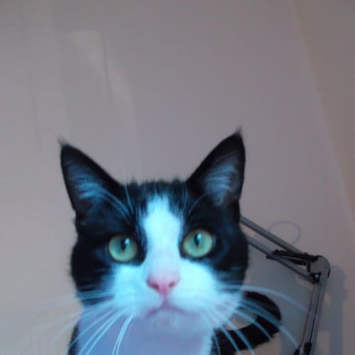 No photo for Jack