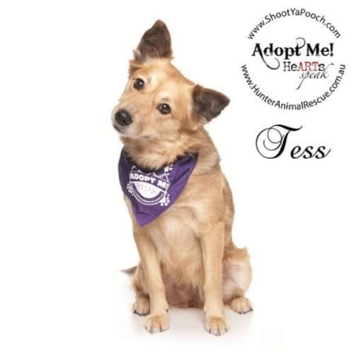 No photo for Tess