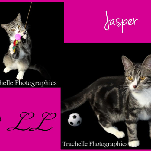 No photo for Jasper