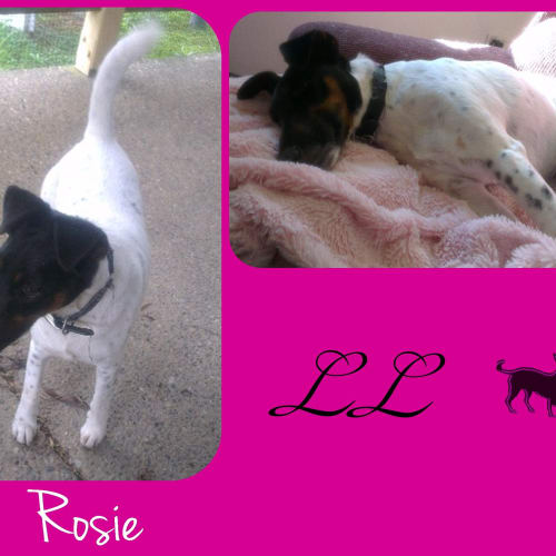 No photo for Rosy