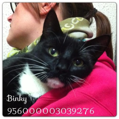 No photo for Binky