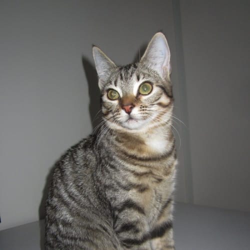 No photo for Leeloo