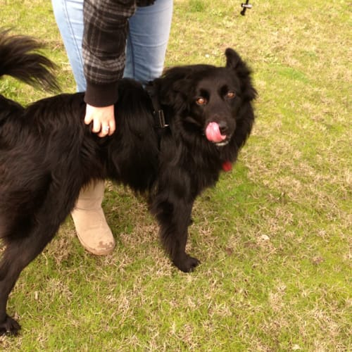 No photo for Leo (New South Wales)