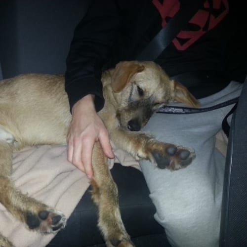 No photo for Baxter