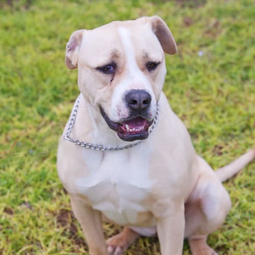 No photo for Bella Id16784