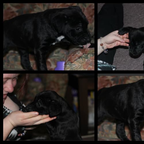 No photo for Ivy