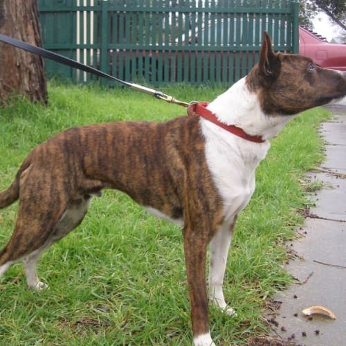 No photo for Reuben James ..... Obedient And Hapy To Please