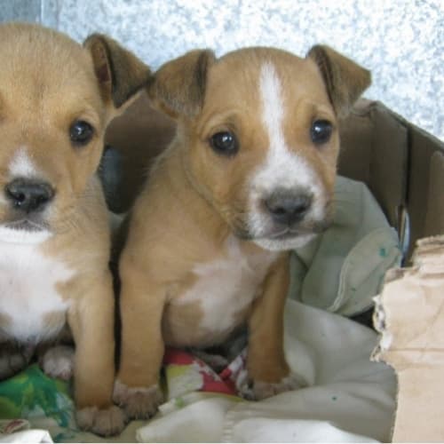 No photo for Harvey {Im On The Left} 