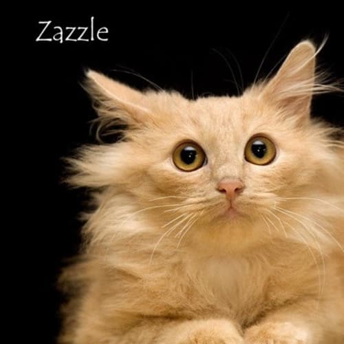 No photo for Zazzle