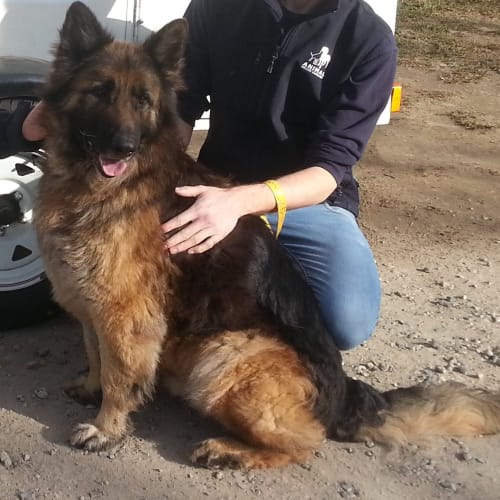 No photo for Rocky On Trial In His New Home