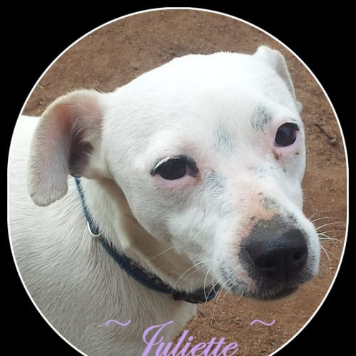 Juliette * Calm, Loving n Loyal*