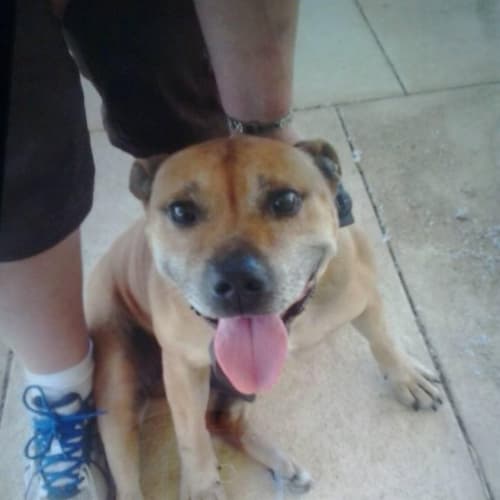 *On Trial* Tucker  - Golden Oldie