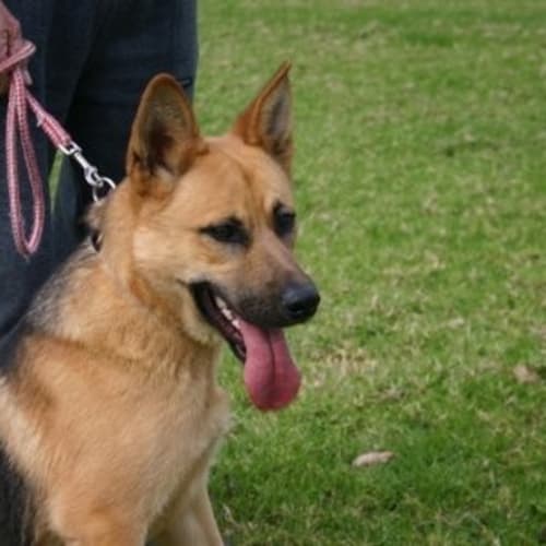 No photo for Hunter Is On Trial With Is New Family