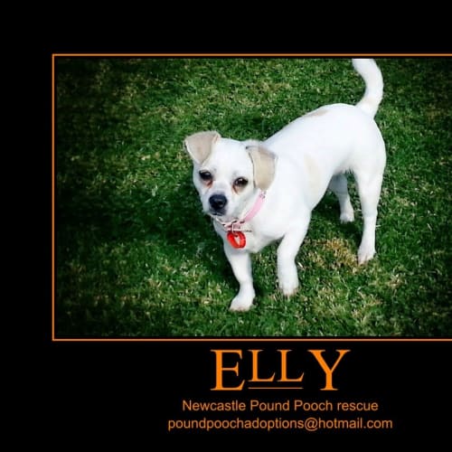 No photo for Elly (I Am On 2 Wks Trial In My New Home)