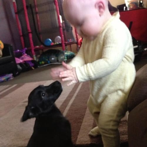 No photo for Baby Loving Buster Good W Kids Dogs