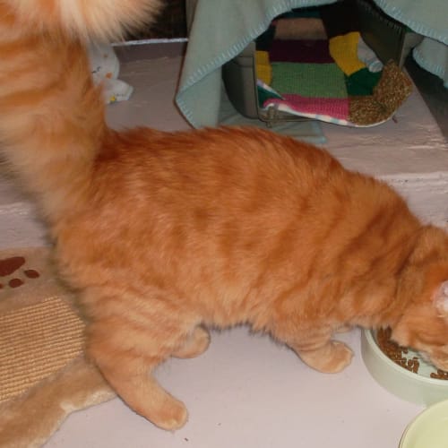 No photo for Murphy