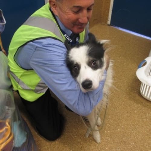 Tux (New South Wales) *on trial*