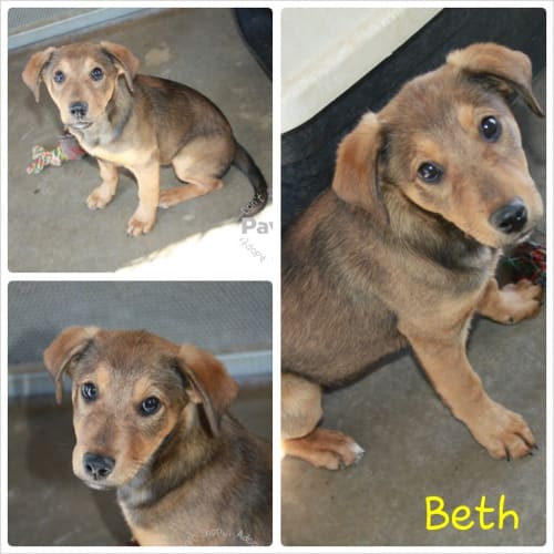 No photo for Beth   407/13