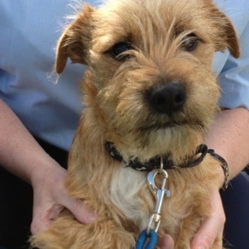 No photo for Ted
