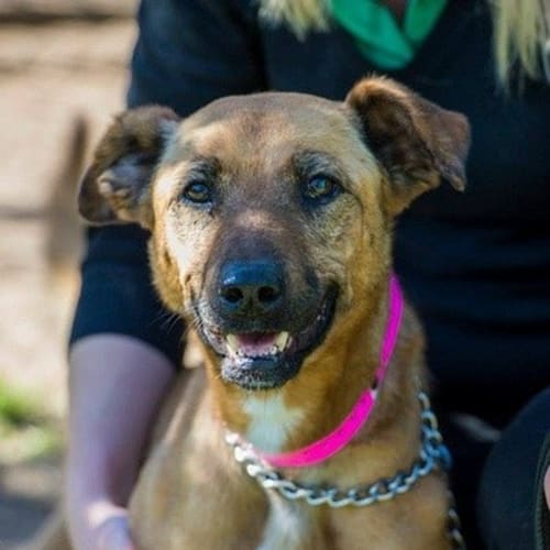 No photo for Charlotte **A Beautiful Gentle Soul**