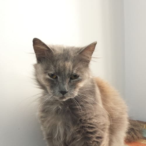 No photo for Penelope