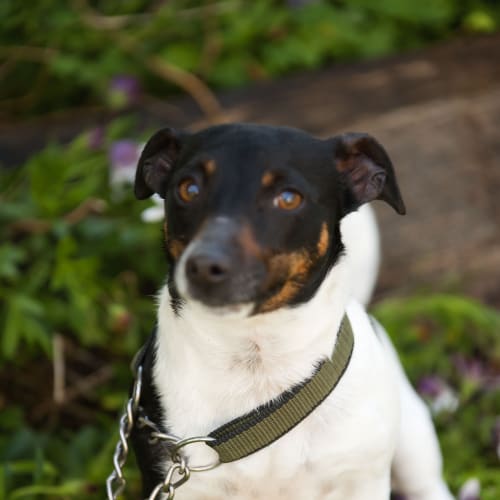 No photo for Bella Id17432