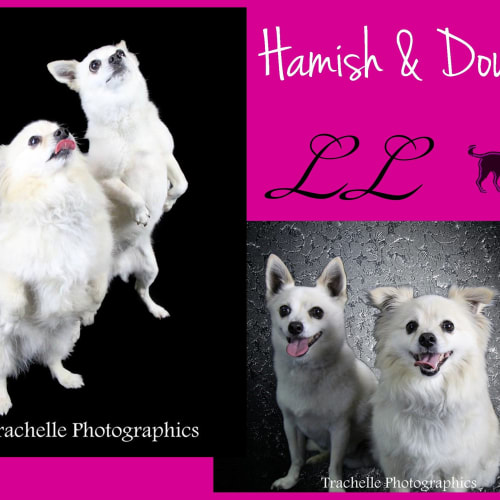 Hamish and Dougal