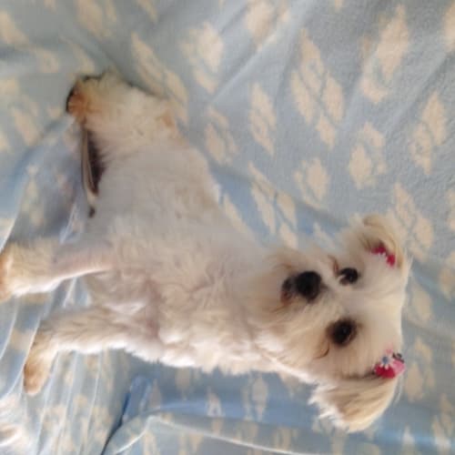 No photo for Emmie