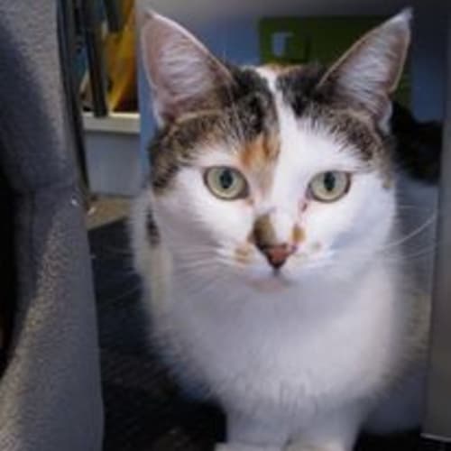 No photo for Suzy (Located In Mernda)