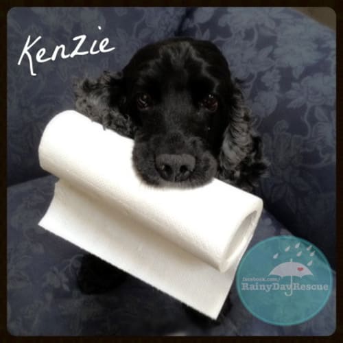 No photo for Kenzie