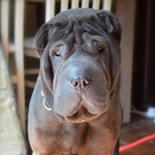No photo for Edgar