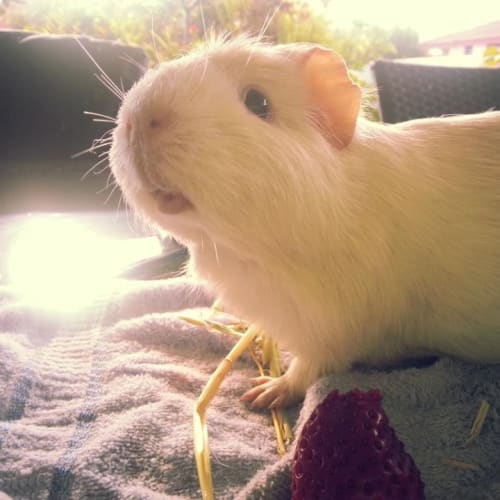 No photo for Bianca **On Trial In Her New Home**
