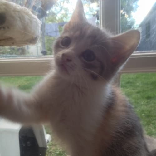 No photo for Molly