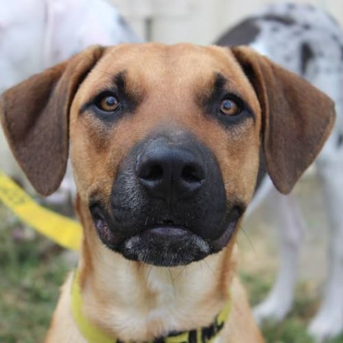 No photo for Ben