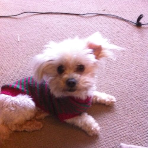 No photo for Titch   Currently On A 2 Week Trial