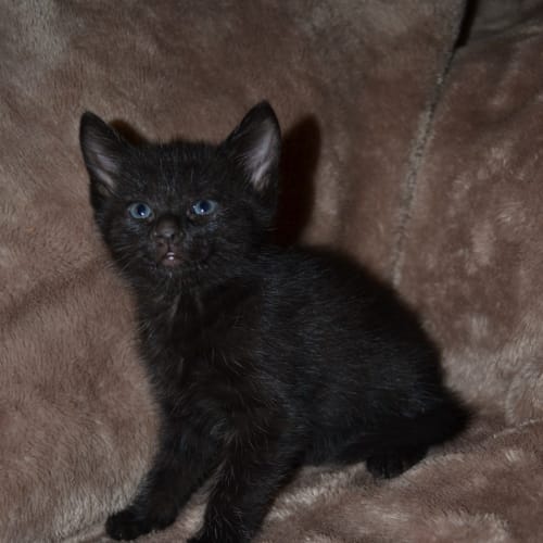 No photo for Ella(nc219)