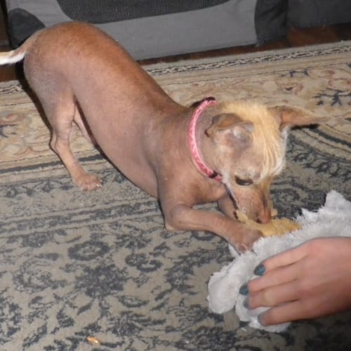 Cleo (On Trial 13/12/13)