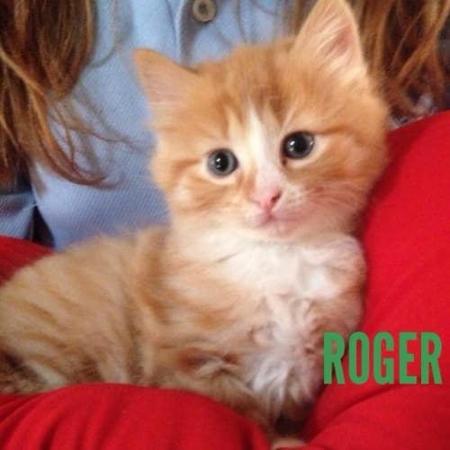 No photo for Roger