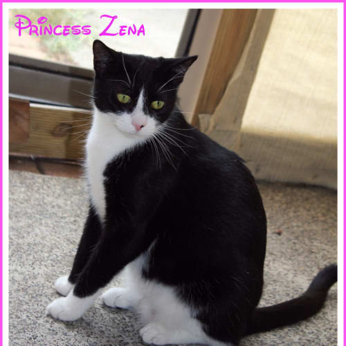 Princess Zena