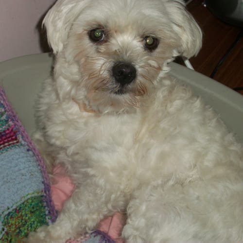Shilo (On Trial 10/12/13)