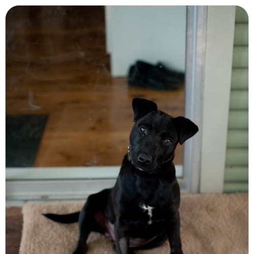No photo for Jake