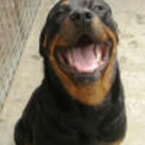 No photo for Zena